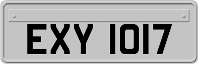 EXY1017