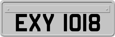 EXY1018