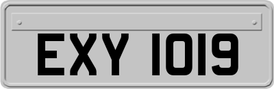 EXY1019