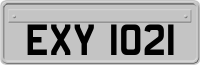 EXY1021