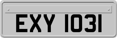 EXY1031