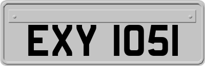 EXY1051