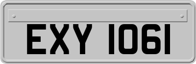 EXY1061