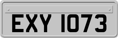 EXY1073