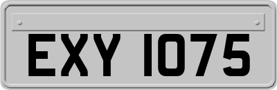 EXY1075