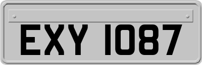 EXY1087