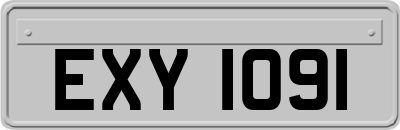 EXY1091