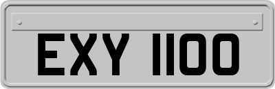 EXY1100