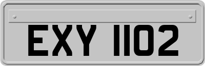 EXY1102
