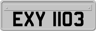 EXY1103