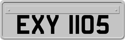 EXY1105