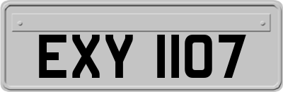 EXY1107
