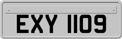EXY1109