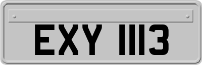 EXY1113