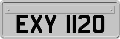 EXY1120