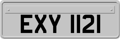 EXY1121