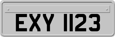 EXY1123