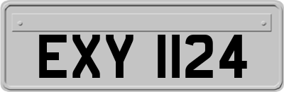 EXY1124