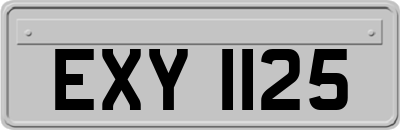 EXY1125