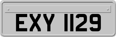 EXY1129