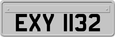 EXY1132
