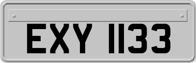 EXY1133