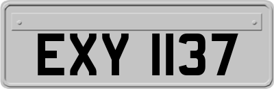 EXY1137