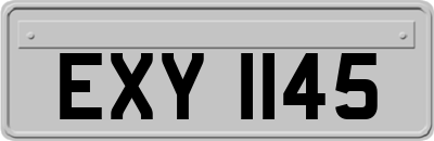 EXY1145