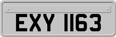 EXY1163