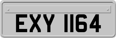 EXY1164