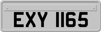 EXY1165