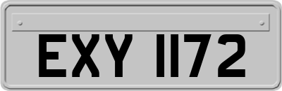EXY1172