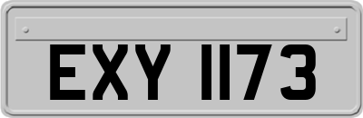 EXY1173