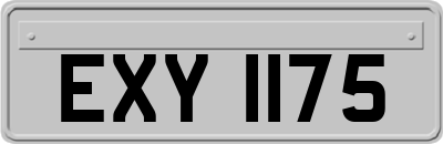 EXY1175