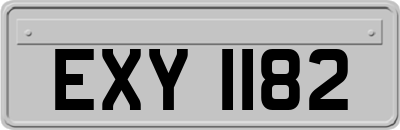 EXY1182