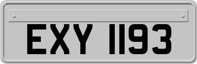 EXY1193