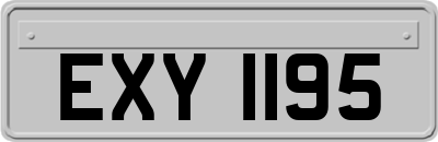 EXY1195
