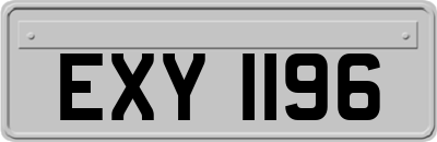 EXY1196
