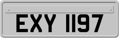EXY1197