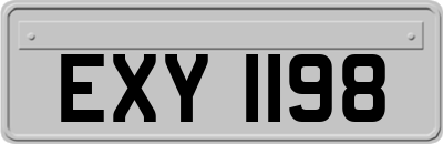 EXY1198