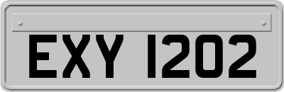 EXY1202