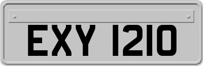 EXY1210