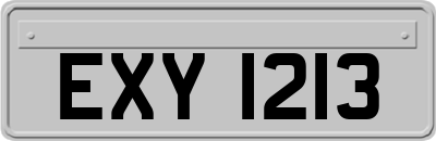 EXY1213