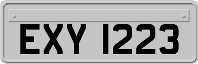 EXY1223