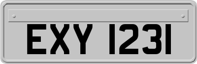 EXY1231