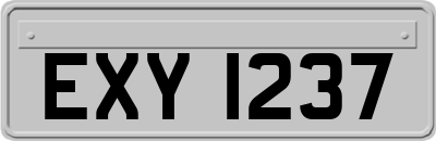 EXY1237