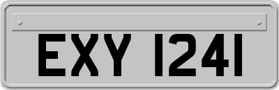 EXY1241