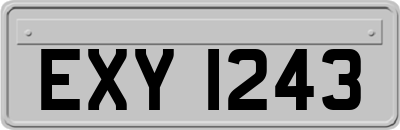 EXY1243