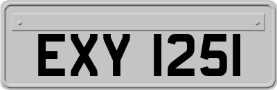EXY1251