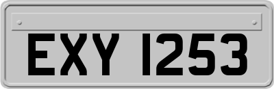 EXY1253